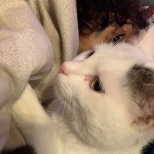 Meet your Posher, Samantha